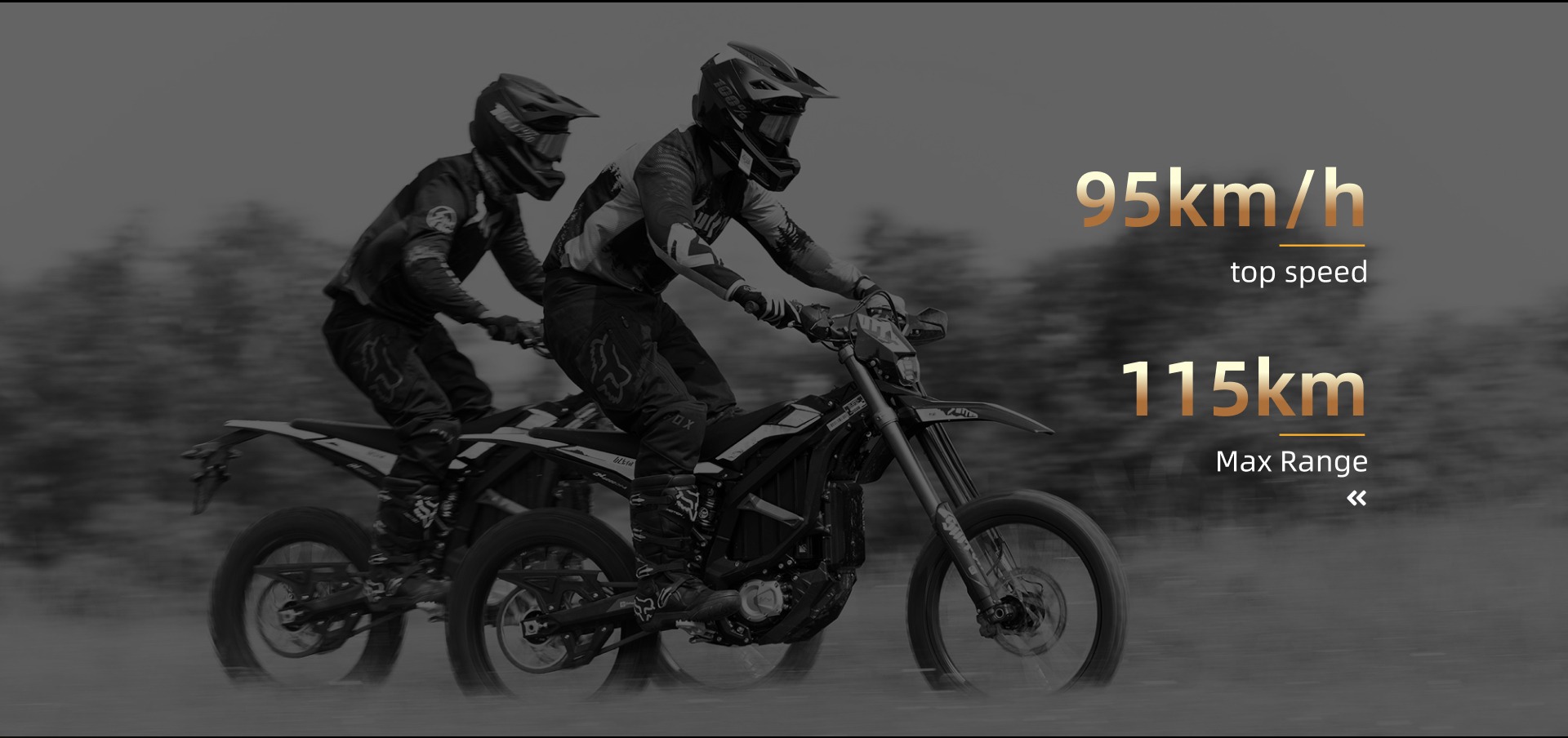 Ultra Bee HP Image 7